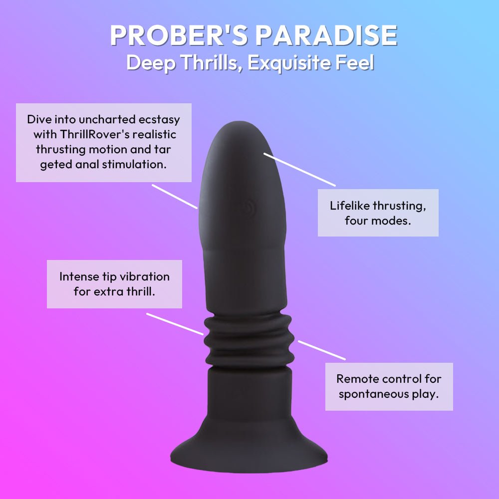 Prober's Paradise - SVL TOYS